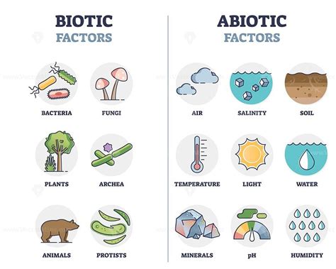 Biotic and abiotic factors as biological elements division outline ...