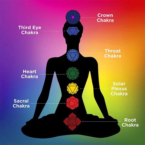 Chakras and the Channels of Energy - Vinyasa Yoga Academy Blogs