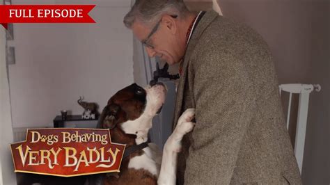 Dogs Behaving Very Badly - Series 2, Episode 7 | Full Episode - YouTube