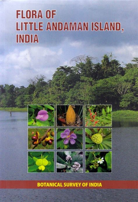 Flora of Little Andaman Island, India | NHBS Academic & Professional Books