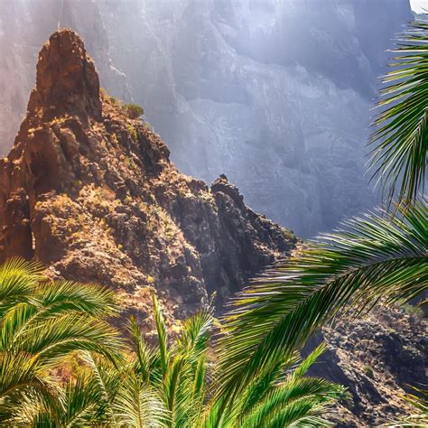 6 Best Hiking Trails In The Canary Islands │ CanaryStay