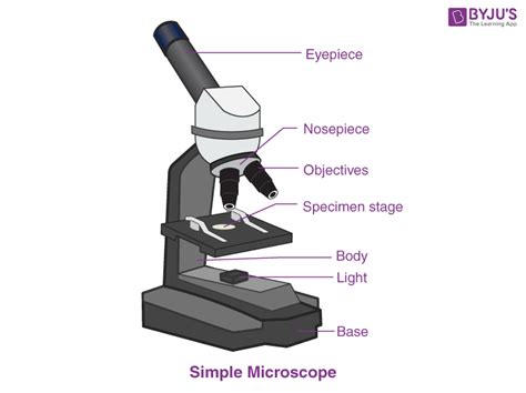 Simple Microscope Definition, Magnification, Parts And Uses