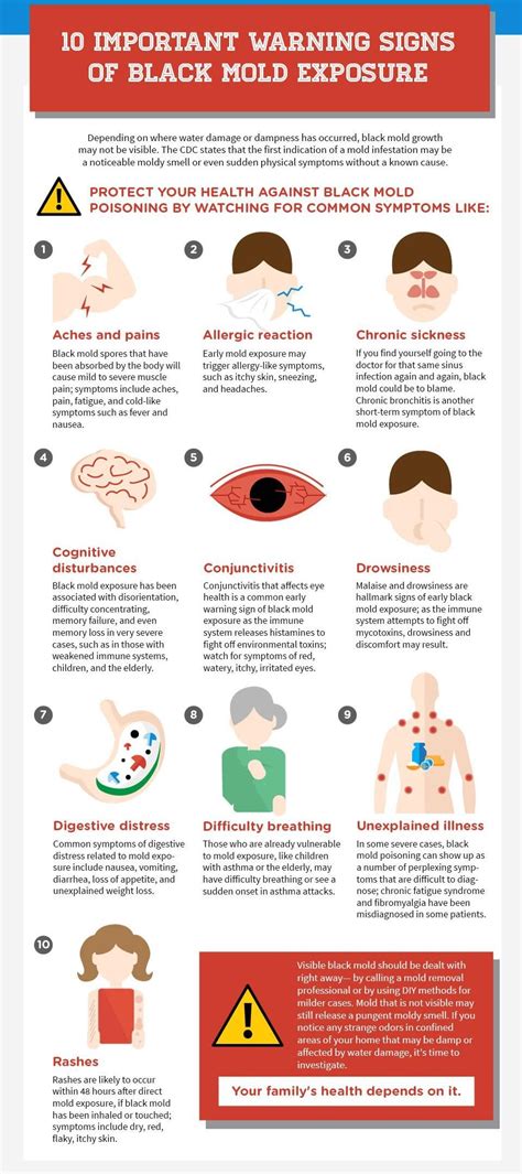 Black Mold Toxicity Symptoms - blackjulc