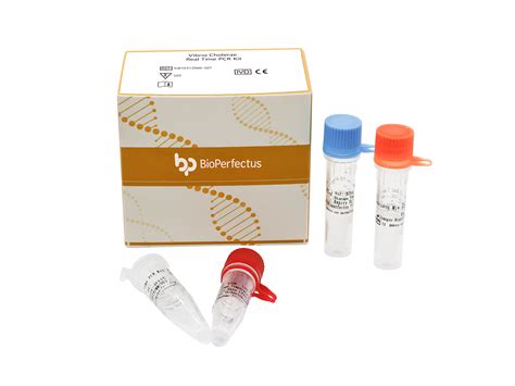 BioPerfectus - Vibrio Cholerae Real Time PCR Kit