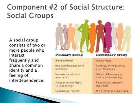 What Is An Example Of A Social Structure - cloudshareinfo