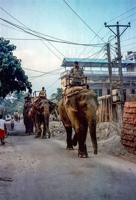 Western Tarai - Nepal - Tripcarta