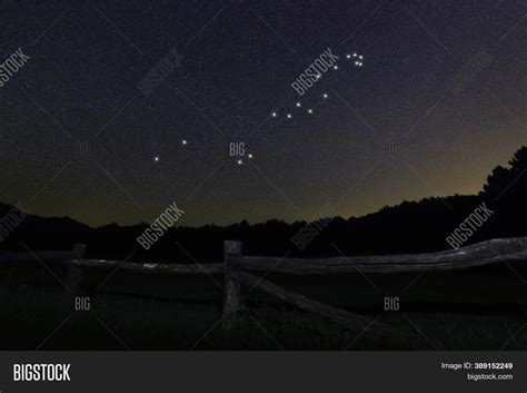 Hydra Star Image & Photo (Free Trial) | Bigstock