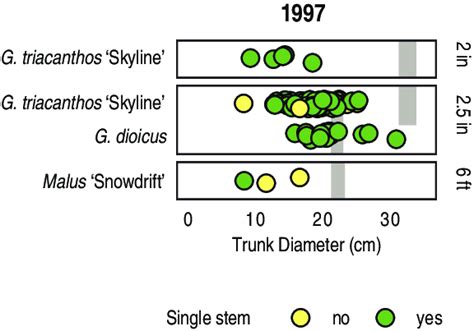 DBH of tree species in the 1997 cohort. Species are grouped by stock ...