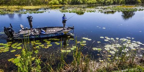 Harris Chain of Lakes Fishing Guide