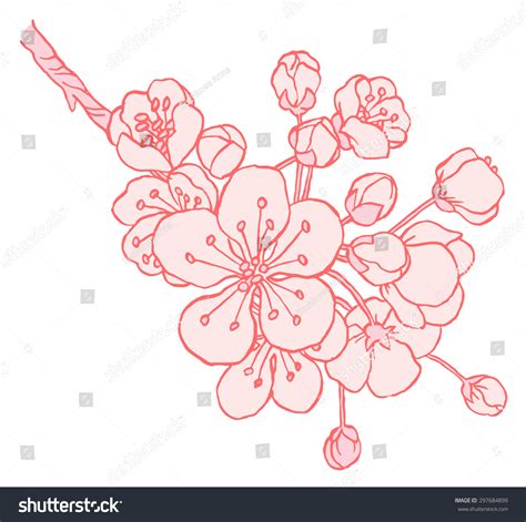 Hand Drawing Apple Tree Branch Blossom Stock Vector 297684899 ...