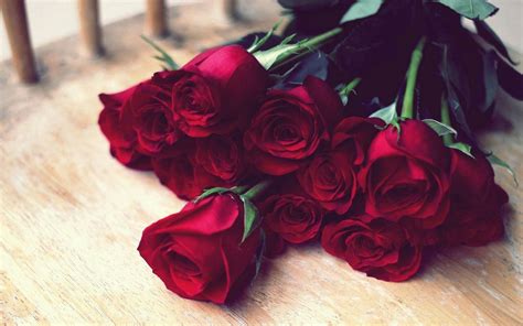 Pin on Rouge | Red rose bouquet, Beautiful rose flowers, Rose flower photos