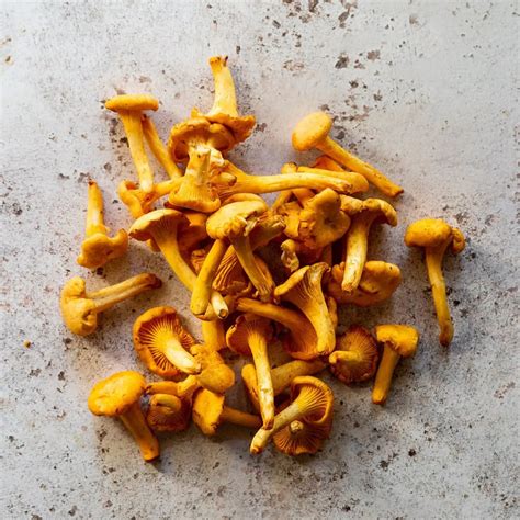 BUY FRESH GIROLLES MUSHROOMS | FINE & WILD UK