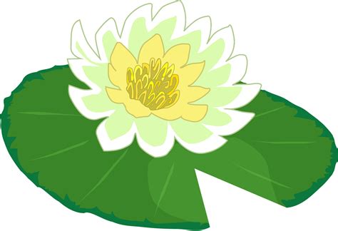 Lily Pad Outline - ClipArt Best