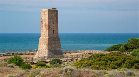 Cabopino Beach in Cabopino | Expedia.co.uk