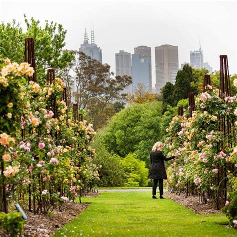 ROYAL BOTANIC GARDENS VICTORIA (2024) All You Need to Know BEFORE You ...