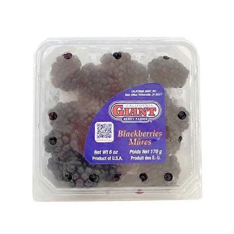 Driscoll's Blackberries (6 oz) Delivery or Pickup Near Me - Instacart