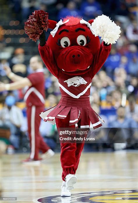 The Arkansas Razorbacks mascot performs during the quaterfinals of ...