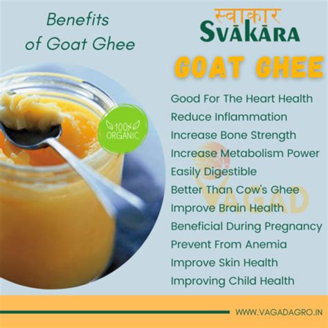 Health Benefits of Goat Ghee, Nutritional in Goat Milk Ghee