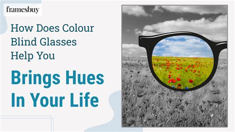 Colour Blind Glasses: Do They Work? | Framesbuy Australia