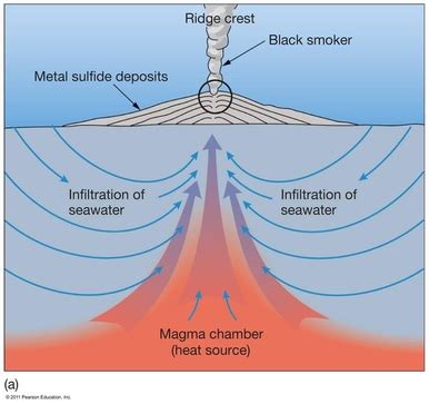 Hydrothermal Vent Diagram