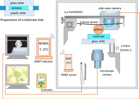 Setup for the measurement of adhesive force and the probe of the ...