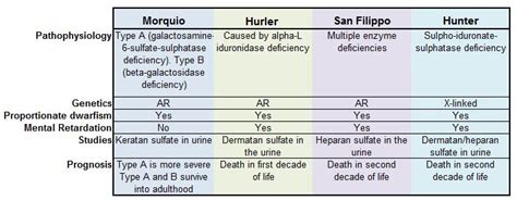 Lysosomal Storage Disease Urine Test | Dandk Organizer