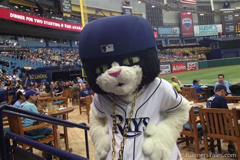 DJ Kitty (Tampa Bay Rays) | SportsMascots Wikia | Fandom