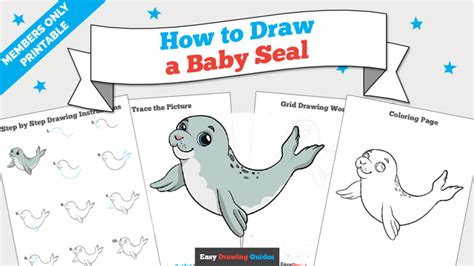 How to Draw a Baby Seal - Really Easy Drawing Tutorial