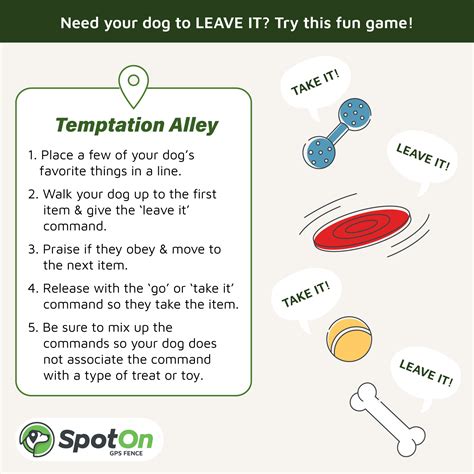 Backyard Bonding: 9 Dog Training Games for Quality Time | SpotOn