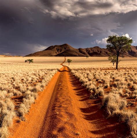 The Desert of Namibia : PathPorn | Beautiful landscapes, Namibia travel ...