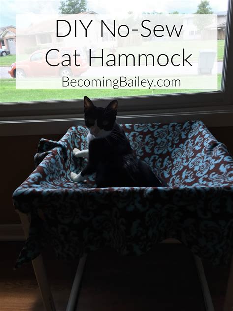 DIY No-Sew Cat Hammock - Becoming Bailey