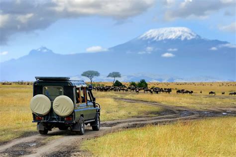 Safari au Kenya : tous nos conseils et infos pour un safari réussi