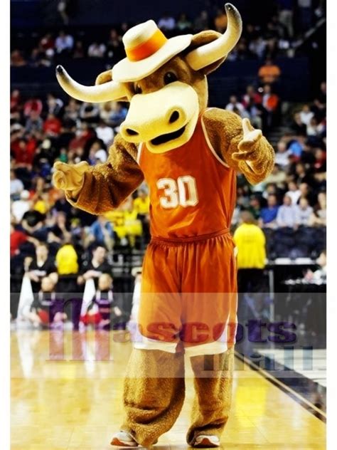 Texas Longhorns Hook'em Sport Bull Mascot Costume