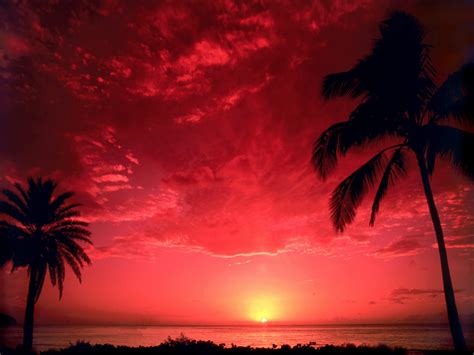 South Pacific Sunset Wallpapers | HD Wallpapers | ID #1505