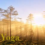 Laya Yoga Tantra & Chakras - Sangha Tirtha Himalaya