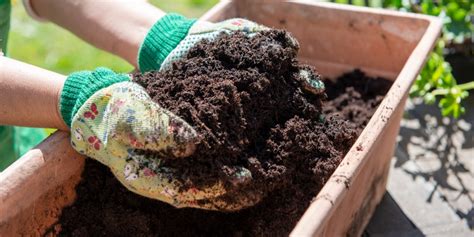 organic-fertilizers-lyngso-garden-soil - Lyngso Garden Materials