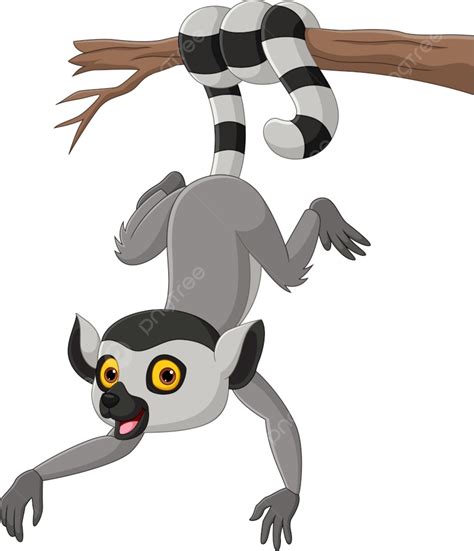 Cartoon Cute Lemur Hanging On Tree Branch, Hang, Paw, Lemur PNG and ...