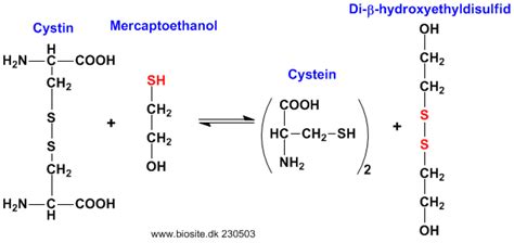 Mercaptoethanol