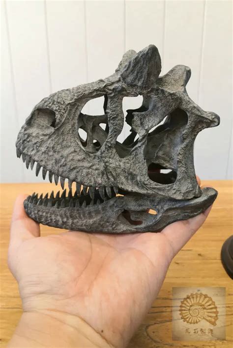 Carnotaurus Skull Skeleton Model Abelisauridae Dinosaur Animal ...