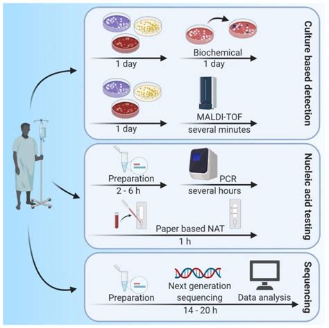 IJMS | Free Full-Text | Emerging Options for the Diagnosis of Bacterial ...