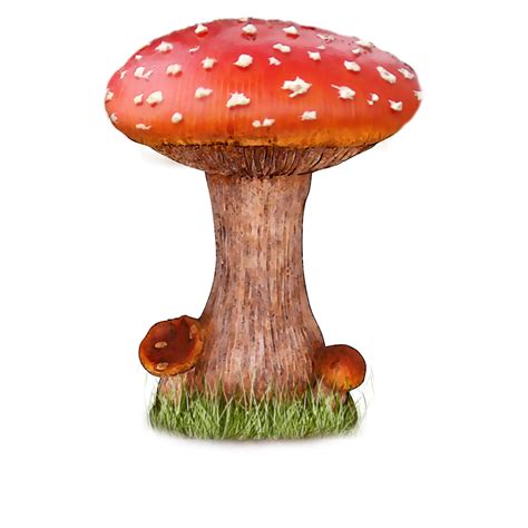 Mushroom PNG Transparent Images | PNG All