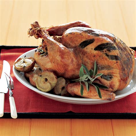 Easy Turkey Recipes | Martha Stewart