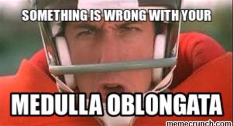 Waterboy Quotes - ShortQuotes.cc