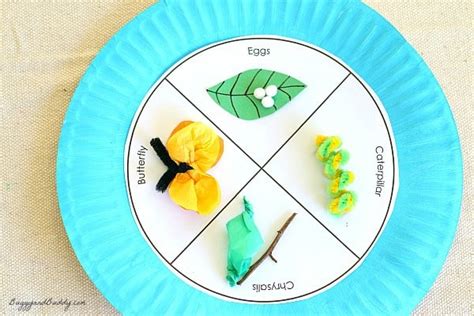 Butterfly Life Cycle Paper Plate Craft - Buggy and Buddy