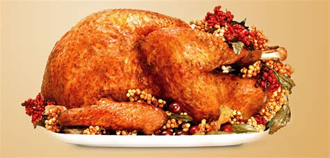 The Perfect Christmas Roast Turkey - The Wandering Palate