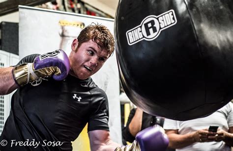 Saul "Canelo" Alvarez training gallery | Fight Hub TV | Boxing, UFC and ...