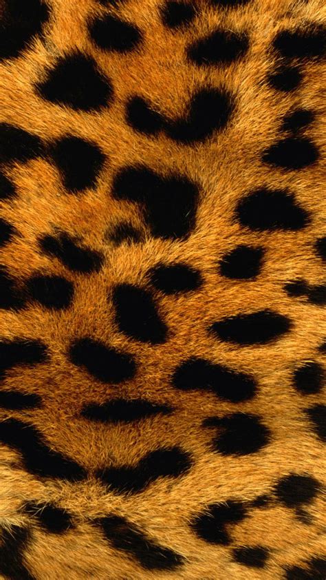 Leopard Skin Wallpaper Hd