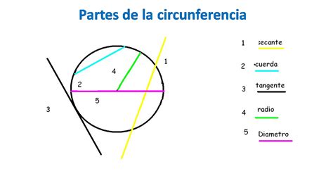 Concepto De Radio De Una Circunferencia - Ecer