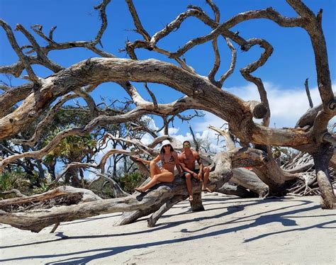 Your Guide to Visiting Driftwood Beach on Jekyll Island | Lighthouse ...