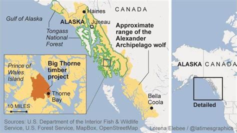 Canis lupus 101: Can rare wolves and sawmill jobs both survive on an ...